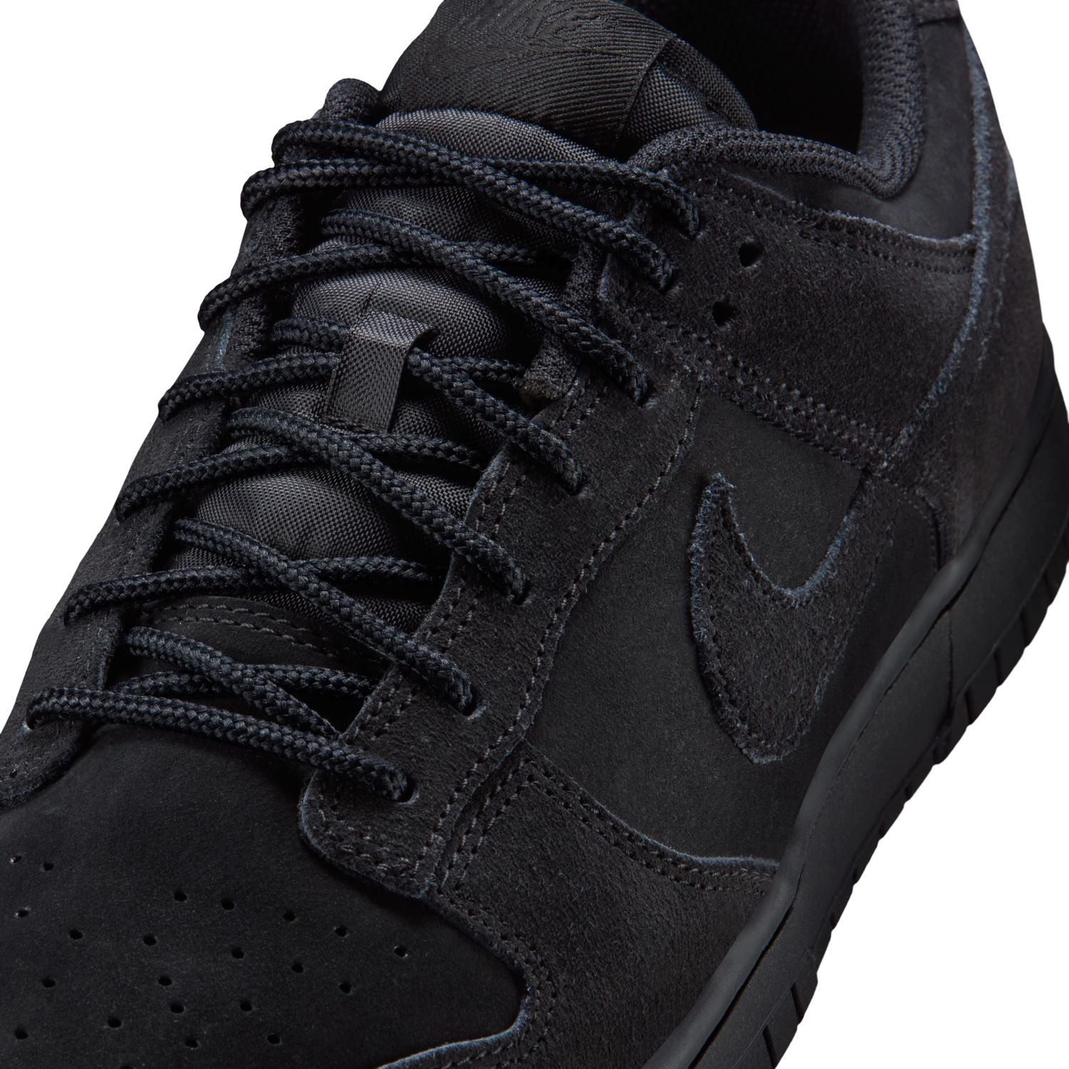 Nike Dunk Low Retro SE (IB6651-001)
