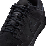 Nike Dunk Low Retro SE (IB6651-001)