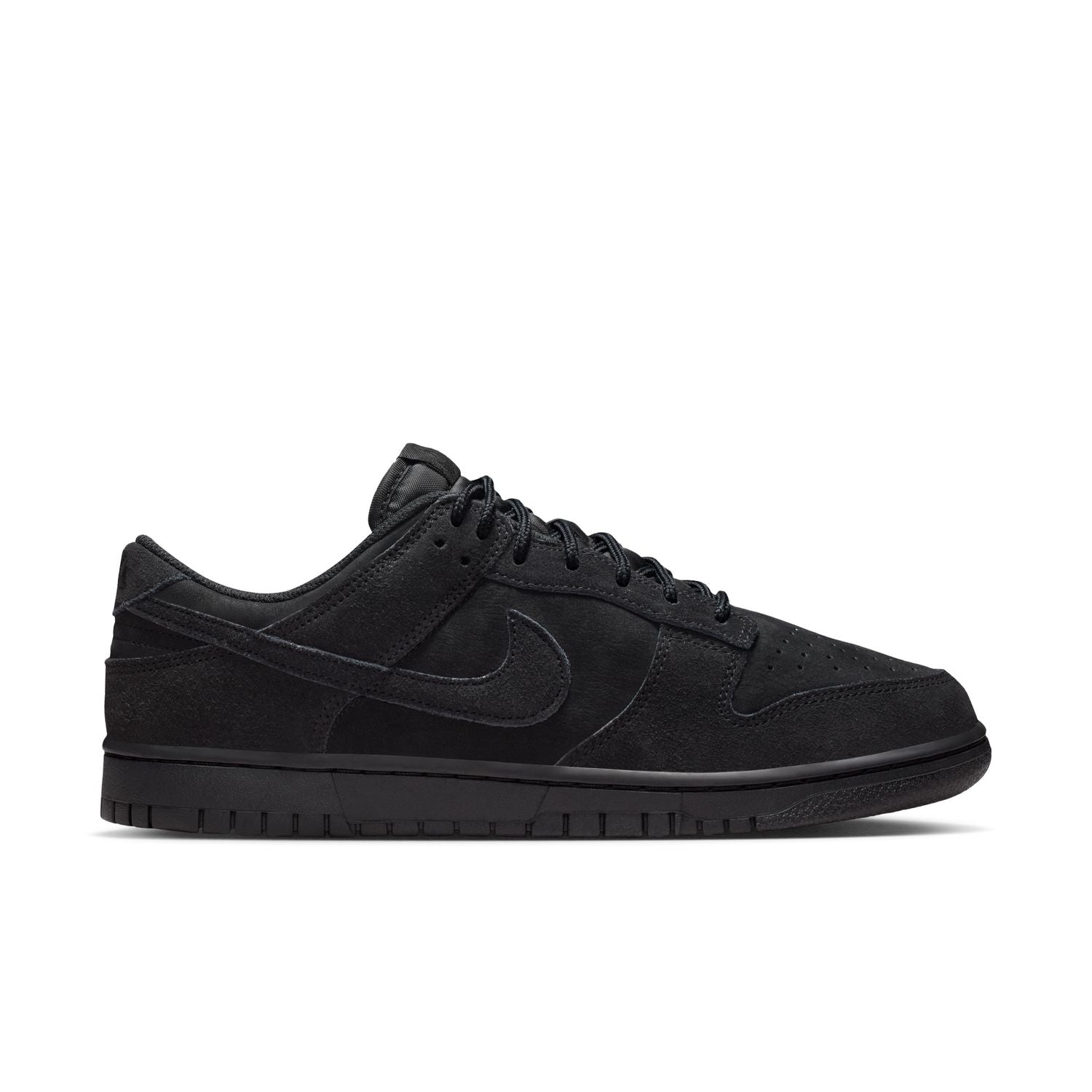 Nike Dunk Low Retro SE (IB6651-001)