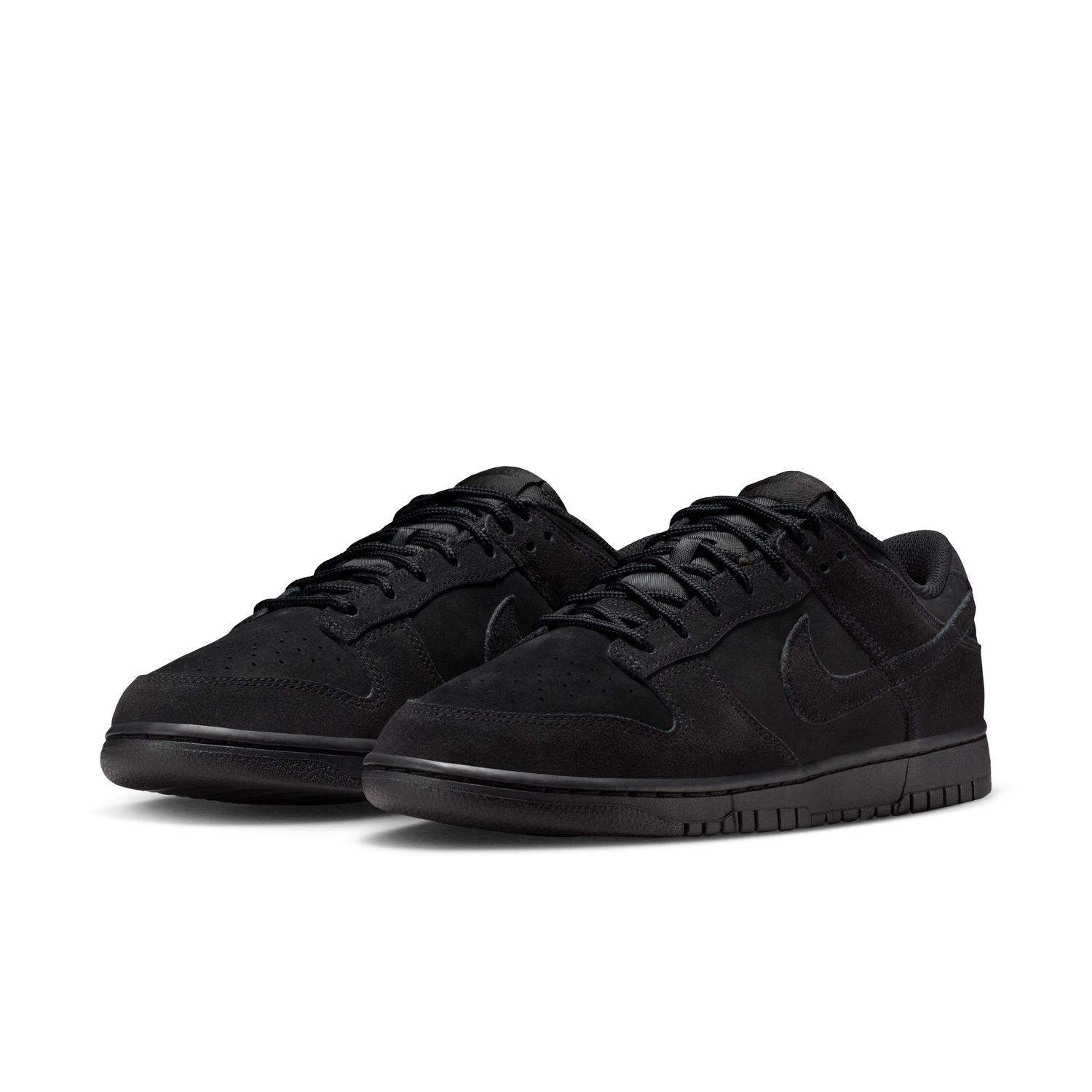 Nike Dunk Low Retro SE (IB6651-001)