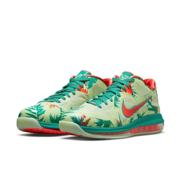 ショウ、バーラム他 nike-lebron-9-low-do9355-300-