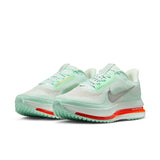 Nike Air Zoom Pegasus Premium (HQ2592-301)