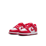 Nike Dunk Low PS Little Kids (FB9108-119)