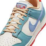 Nike Dunk Low Premium (HJ9112-110)