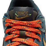 Nike Big Kid's Dunk Low BG (IH4042-364)