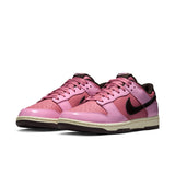 Nike Dunk Low Retro (IM4415-600) "Donut"