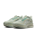 Nike Pegasus Premium (HQ2592-300)