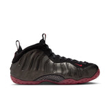 Nike Air Foamposite One (IB2219-001) 