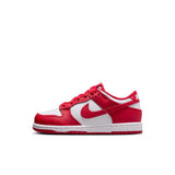 Nike Dunk Low PS Little Kids (FB9108-119)