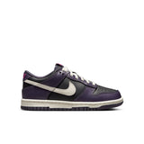 Nike Dunk Low GS Big Kids (FB9109-003)