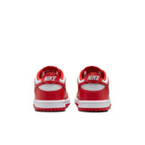 Nike Dunk Low GS Big Kids (FB9109-119)