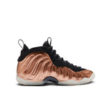 Nike Little Posite One GS Big Kids (FZ0990-800)