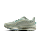 Nike Pegasus Premium (HQ2592-300)