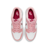 Nike Dunk Low Big Kids (DO6485-600)