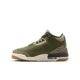 Air Jordan 3 Retro GS Big Kid's (DM0967-202) "Family Affair"