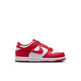 Nike Dunk Low PS Little Kids (FB9108-119)