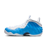 Nike Air Foamposite Pro (HF0794-400)
