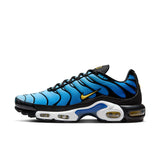 Nike Air Max Plus OG (DX0755-001)