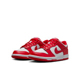 Nike Dunk Low GS Big Kids (FB9109-119)