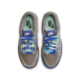 Nike Dunk Low SE GS Big Kid's (HQ9294-200)