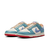 Nike Dunk Low Premium (HJ9112-110)