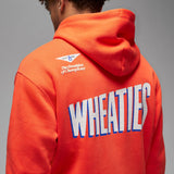Jordan Flight MVP Hoody (DV7576-817)