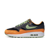Nike Air Max 1 PRM (DZ0482-001) "Ugly Duckling"